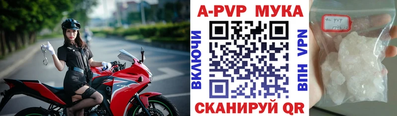 Альфа ПВП СК  Староминская 