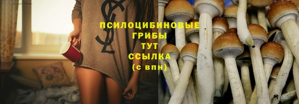 дмт Богданович