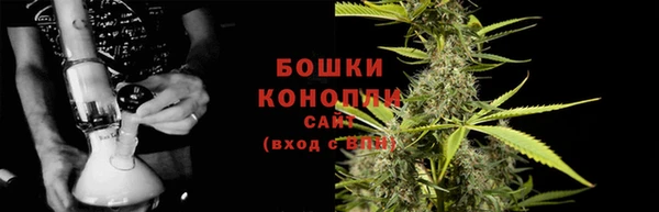 дмт Богданович