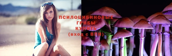 винт Богородицк