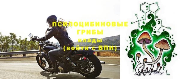 дмт Богданович