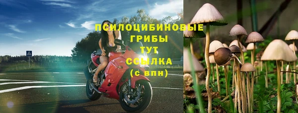 винт Богородск