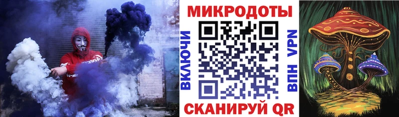 площадка какой сайт omg онион Староминская Галлюциногенные грибы Psilocybe